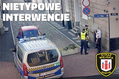 Nietypowe interwencje Straży Miejskiej
